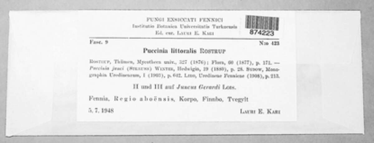 Puccinia littoralis image